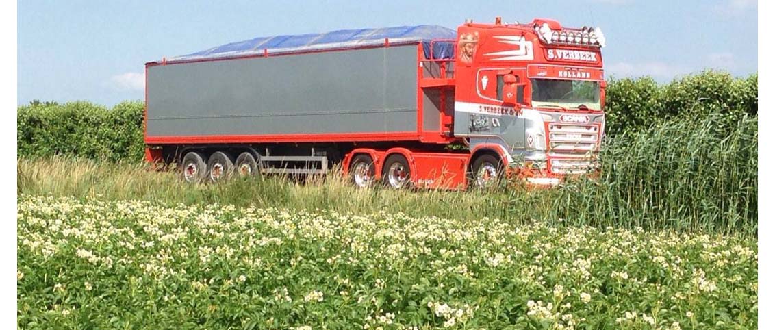 Lkw von Verbeek Tiel an einem blühenden Kartoffelfeld